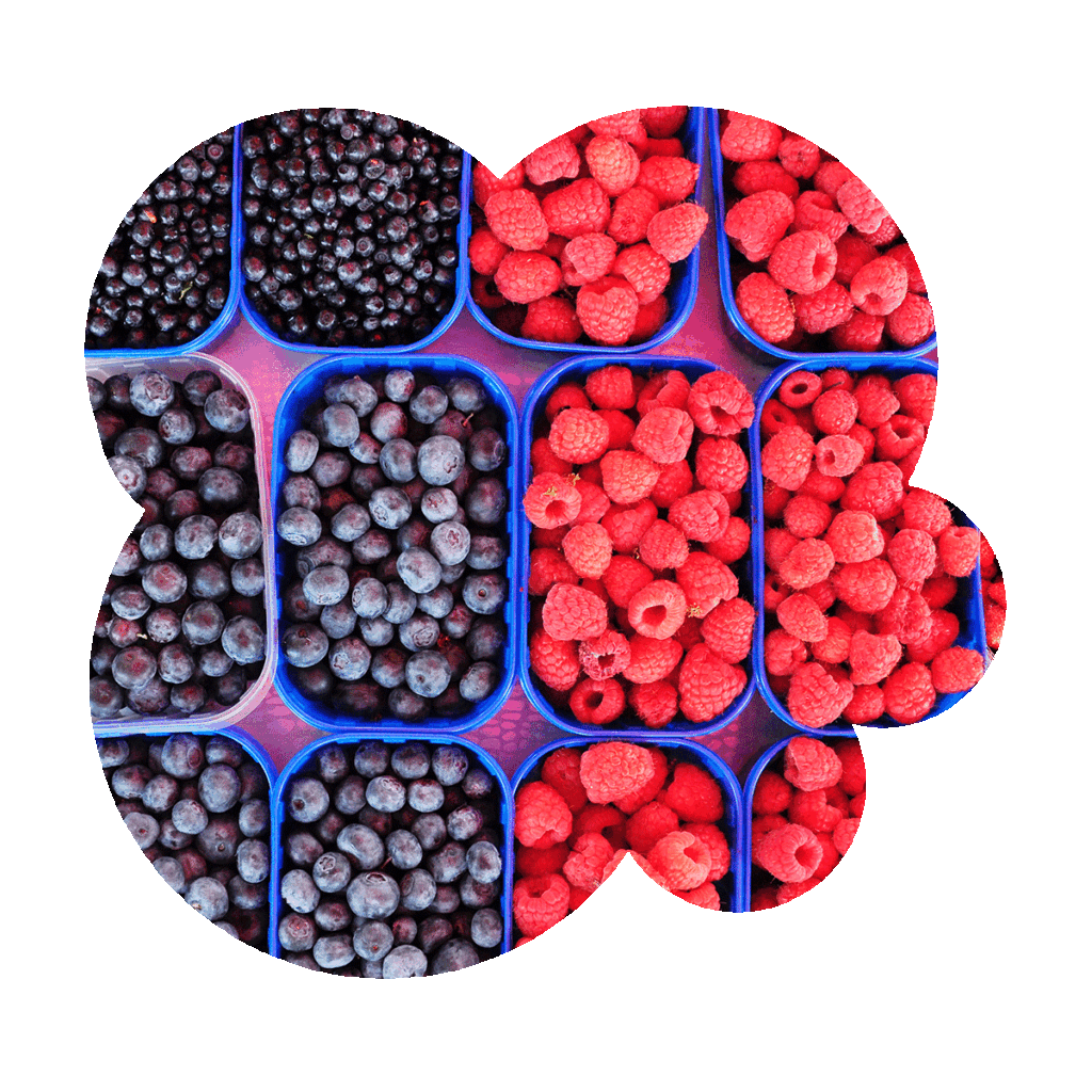 berries-for-gut-health